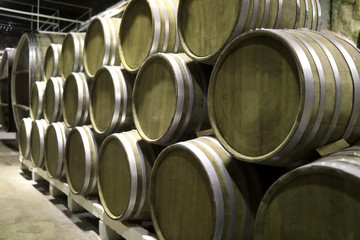 barrels stacked in wine cellar