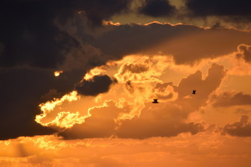 Nordseestrand - Eindrücke und Momente Juni 2019