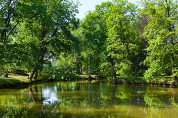 Fototapeta na wymiar Beautiful park and a pond in summer time