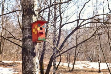 birdhouse on tree in spring