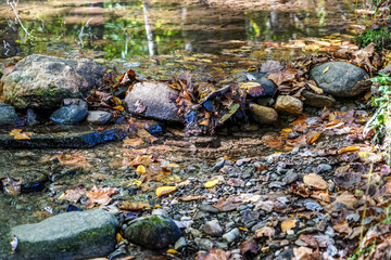 Fototapeta premium Roxks