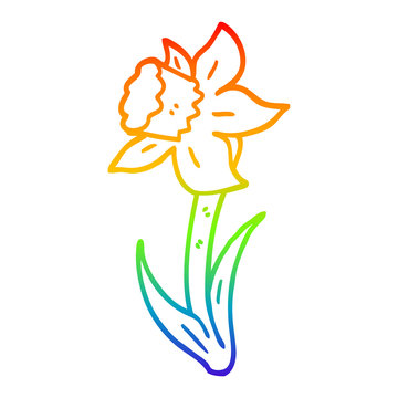 recommend clip art: rainbow gradient line drawing cartoon daffodil