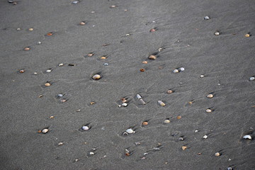 Nordseestrand - Eindrücke und Momente Juni 2019