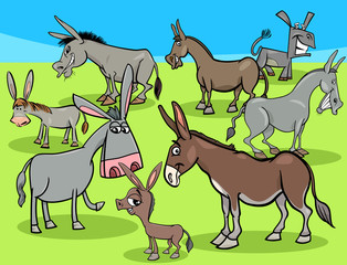funny donkeys cartoon farm animals group