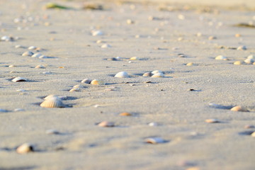 Nordseestrand - Eindrücke und Momente Juni 2019