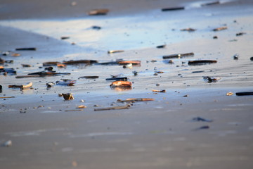 Nordseestrand - Eindr&uuml;cke und Momente Juni 2019