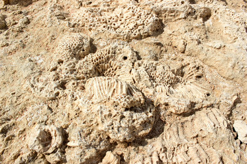 Beautiful sandy beach on Red Sea, near Egypt