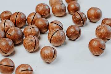  inshell macadamia nuts on light gray background.