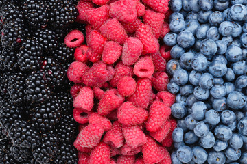 Blackberry, raspberry, blueberry background.  Top view.
