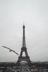 eiffel tower in paris