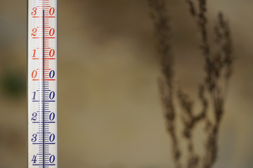 Thermometer during hot weather with withered plant in background