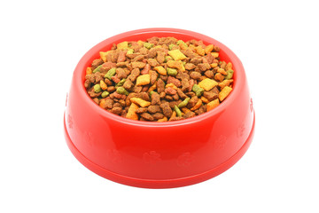 cat food in red bowl isolated on white