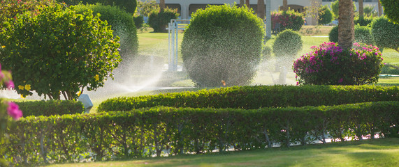irrigation system in tropical park at summer sunset
