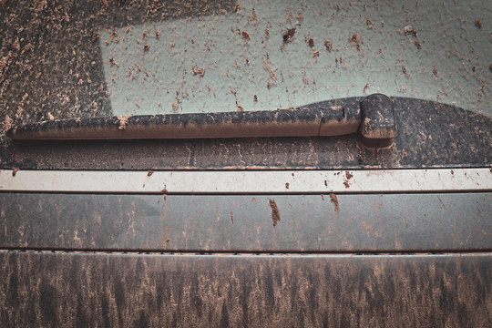 Close-up image of a dirty car after a trip around the countryside. Back view
