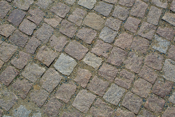 Cobblestone in the state capital Dresden
