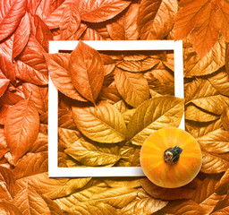 Beautiful yellow autumn leaves background and frame with pumpkin.