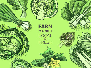Eco shop farm product. Vector sketch vegetables. Organic farm shop.
