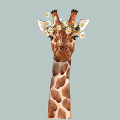 Watercolor giraffe vector portrait - obrazy, fototapety, plakaty