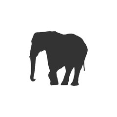 Fototapeta premium Big Elephant isolated on white background. Vector illustration, animal silhouette.