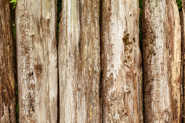 Vertical wooden logs for a background