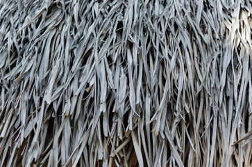 Fondo con textura patrón de tejado con hojas secas de palma