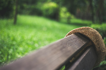 Perspective shot of a yellow straw woman’s hat placed on a wooden bench in the park with copy...