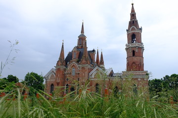 Fototapeta premium nature