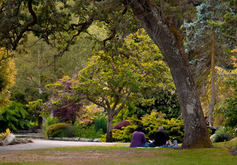 Fototapeta premium enjoying in park, walk in park, picnic in park