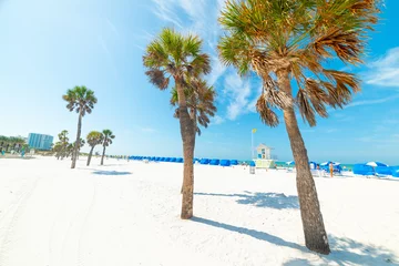 Papier Peint photo Clearwater Beach, Floride White sand and palm trees in beautiful Clearwater Beach