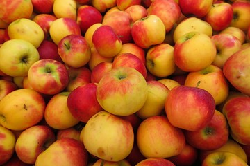 Full frame close up of pile red yellow apples wellant