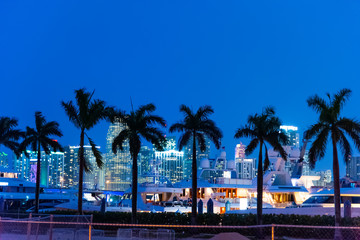 Palm trees, yachts and skyscrapers in Miami at night