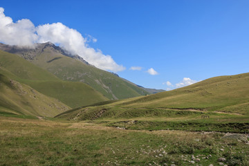 Fototapeta na wymiar Close up view mountains scenes in national park Dombay, Caucasus