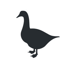 goose, gander, black silhouette on white background, vector illustration.