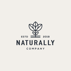 Leaf logo design concept. Universal leaf logo.