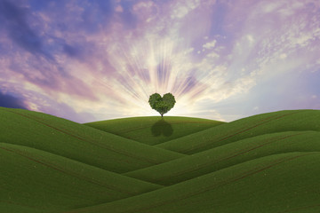 green heart shaped tree on a hill