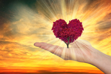 hand holding red heart shaped tree