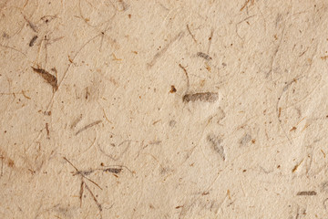 brown paper background, cardboard  isolated and empty with structure
