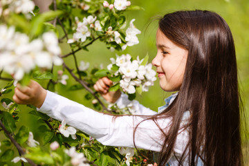 Fototapeta premium Adorable little girl in blooming cherry garden on beautiful spring day