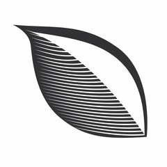 Vector illustrarion icon leaf