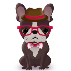 F is for Fashionable Frenchie