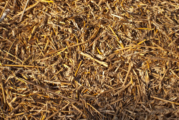 The texture of the yellow hay. The dry grass is collected in the drainage of the hay.