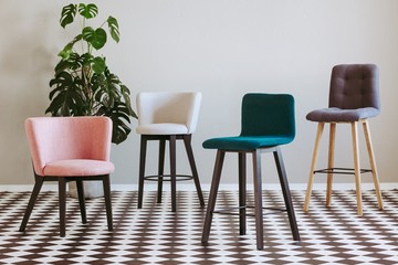 Fashionable colorful chairs in elegant interior with black and white floor
