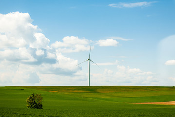 Fototapeta na wymiar New windmill in green fresh fields in the spring with large cumulus clouds in background concept of environmental protection and green pure energy from the wind