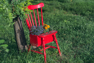 Old red chair used as a flower pot in a village park.