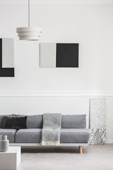 Black and grey paintings on white wall behind comfortable grey couch in elegant living room