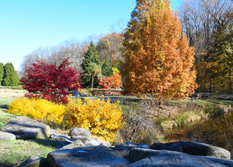 Brookside Gardens in autumn with trees in full color