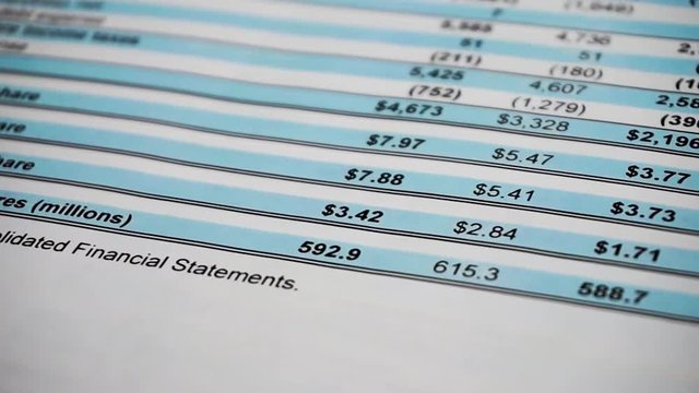 Finance statement report of company. revenue and profit statistics. Balance the investment portfolio. Business composition.