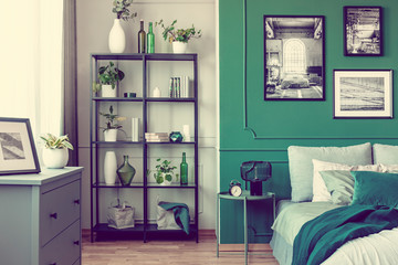 Black bookshelf with plants in the corner of chic bedroom interior with green wall