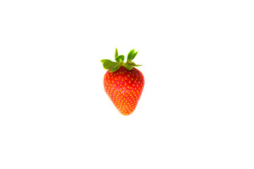 One berry of ripe strawberry.
