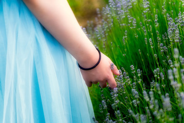 Girl in the field of organic lavender flowers , summer concept, farm which produces lavender oil